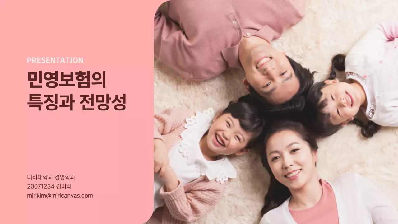 핑크와 그레이톤의 민영보험의 특징과 전망성 보험의 종류와 구분 이론 및 사례 발표