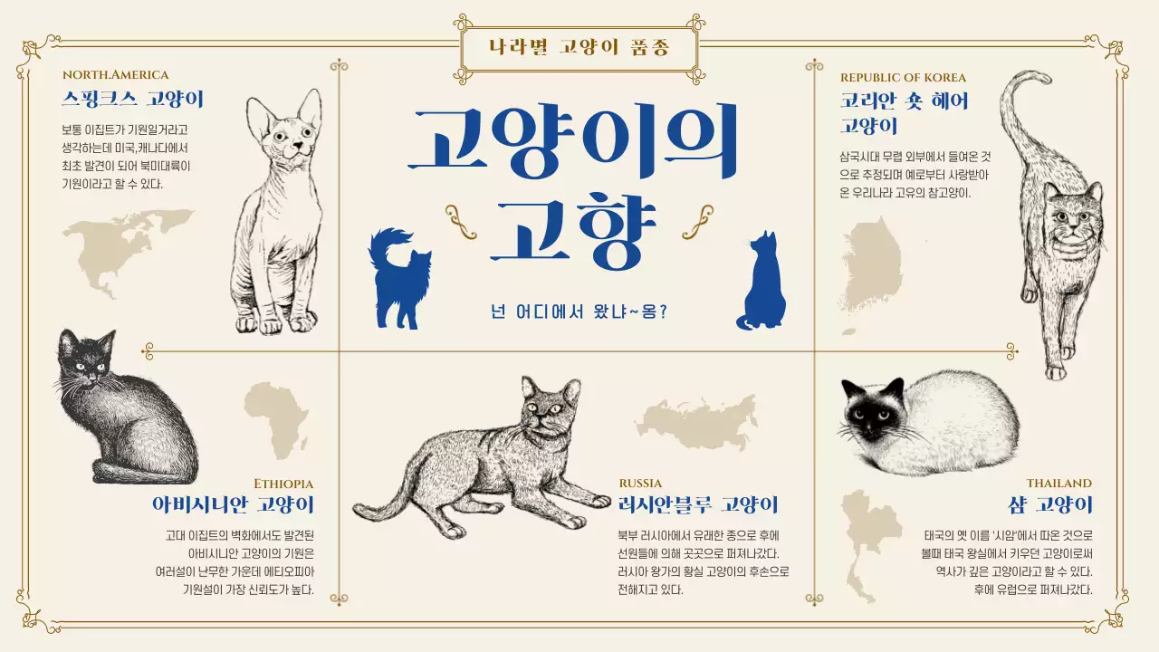 클래식 느낌의 고양이 정보 제공
