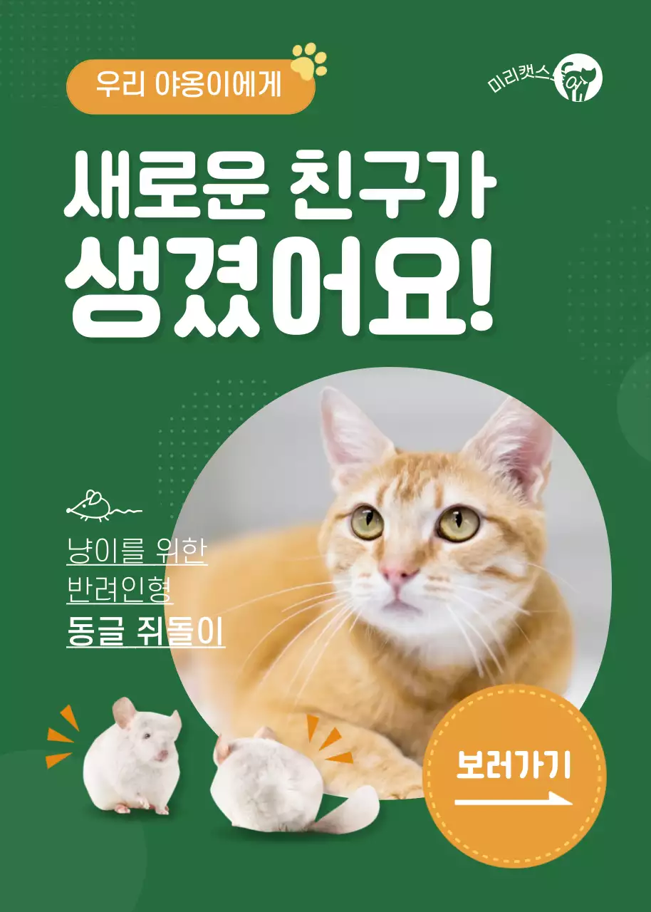 초록색의 고양이 장난감 및 반려인형 구매 홍보