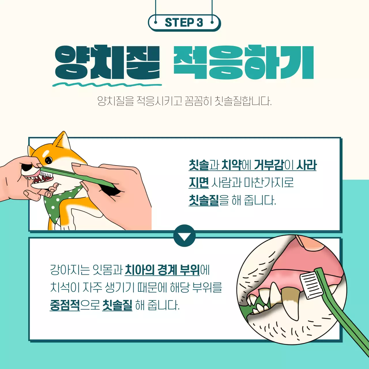 민트색과 노란색의 일러스트 강아지 양치법