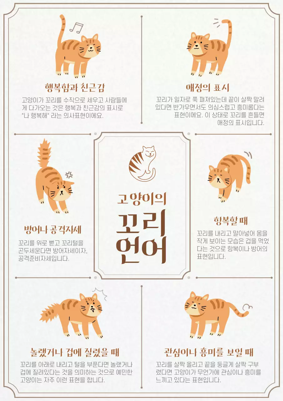 아이보리색 종이질감의 고양이 꼬리언어 번역기