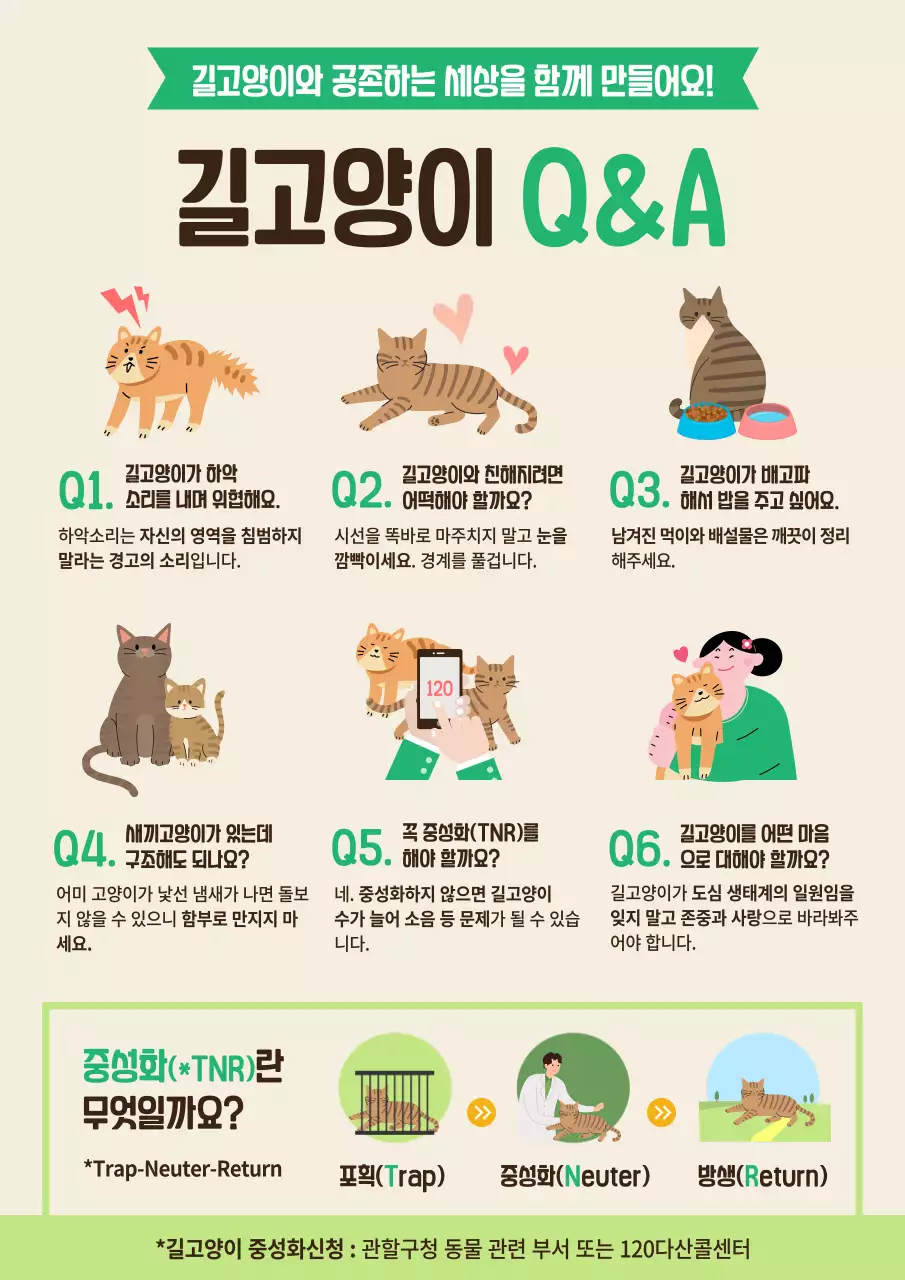 녹색과 갈색 타이틀의 길고양이 Q&A설명