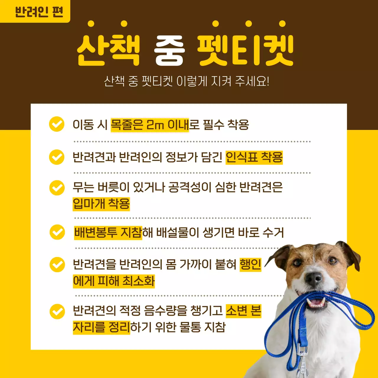 노란색과 고동색의 정보형 펫티켓