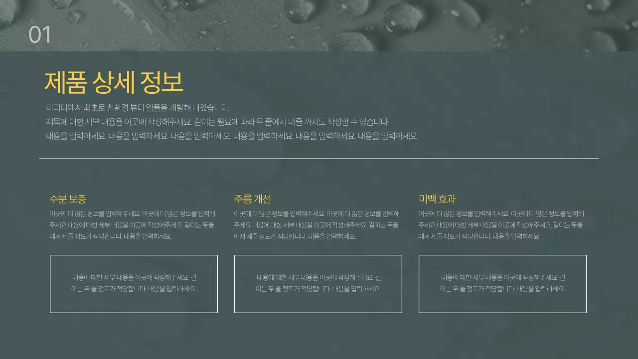 그린 블랙톤 미용관리 제품 소개서