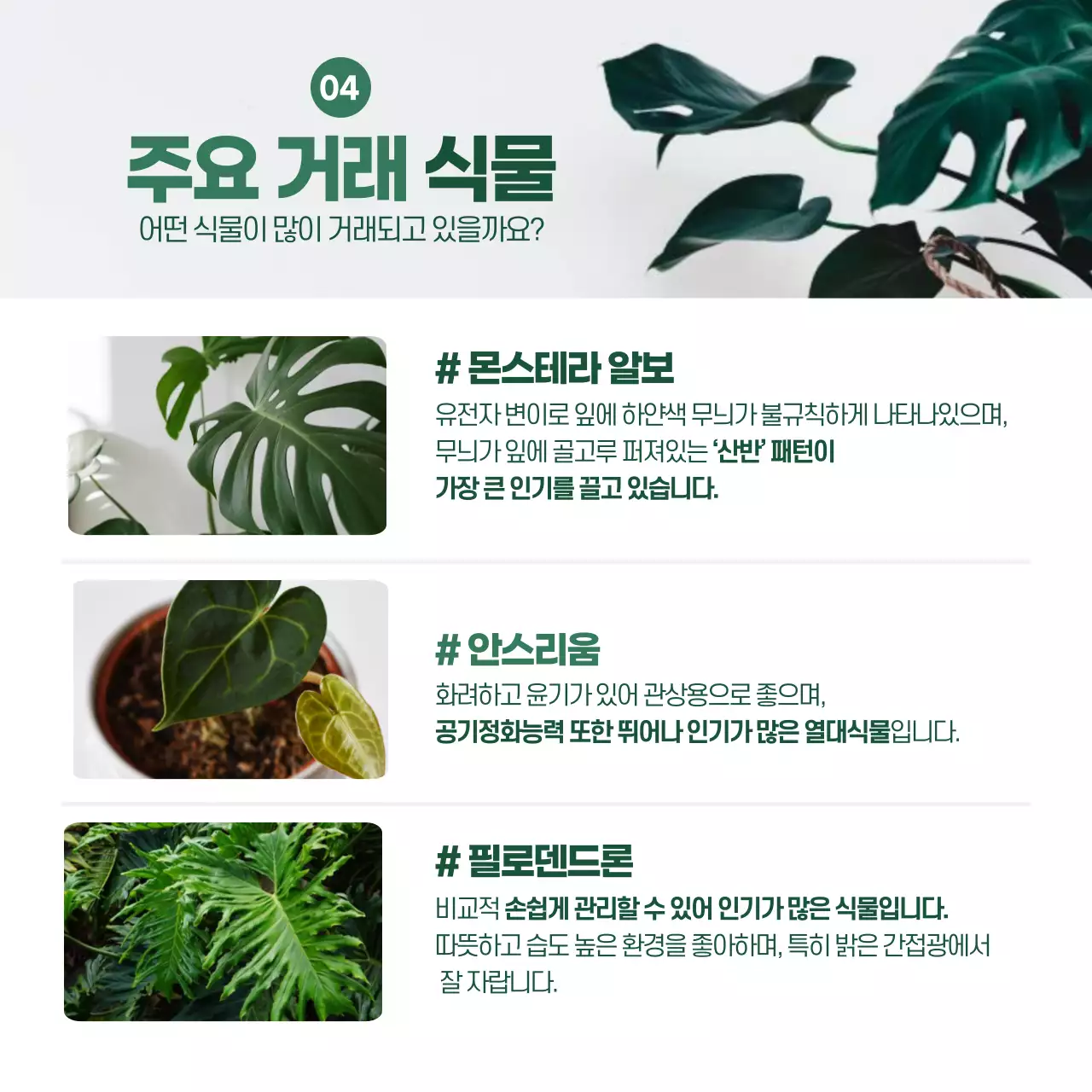 초록색 분위기의 식테크 카드뉴스 디자인