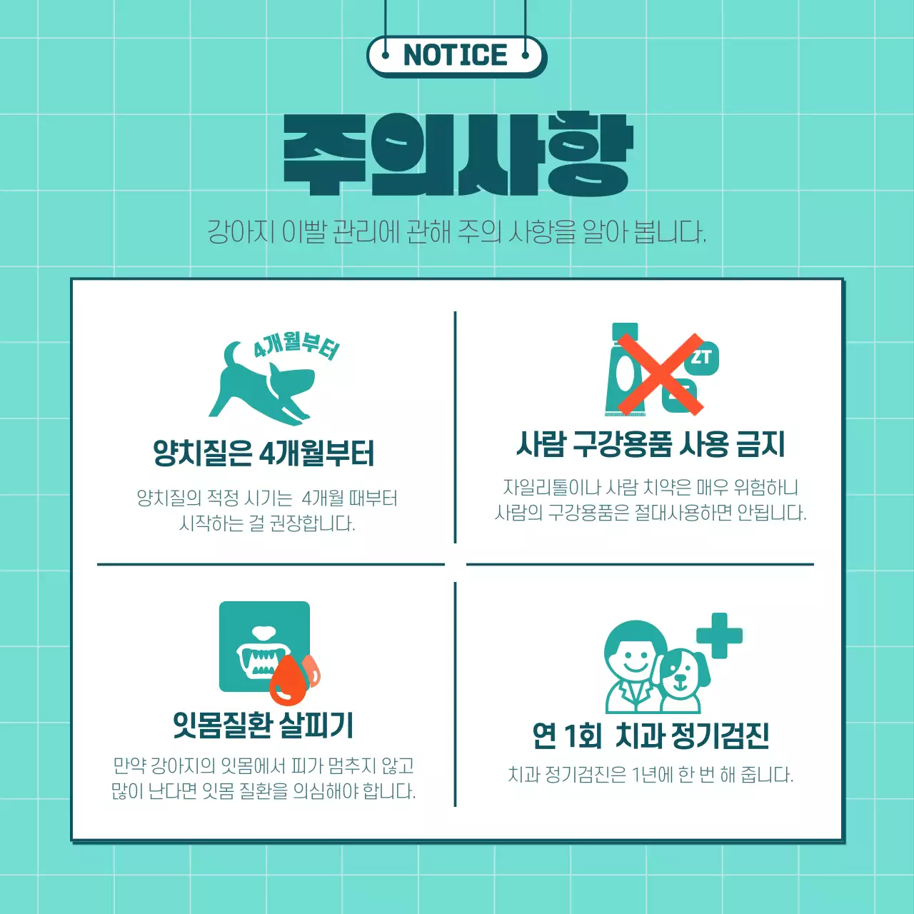 민트색과 노란색의 일러스트 강아지 양치법