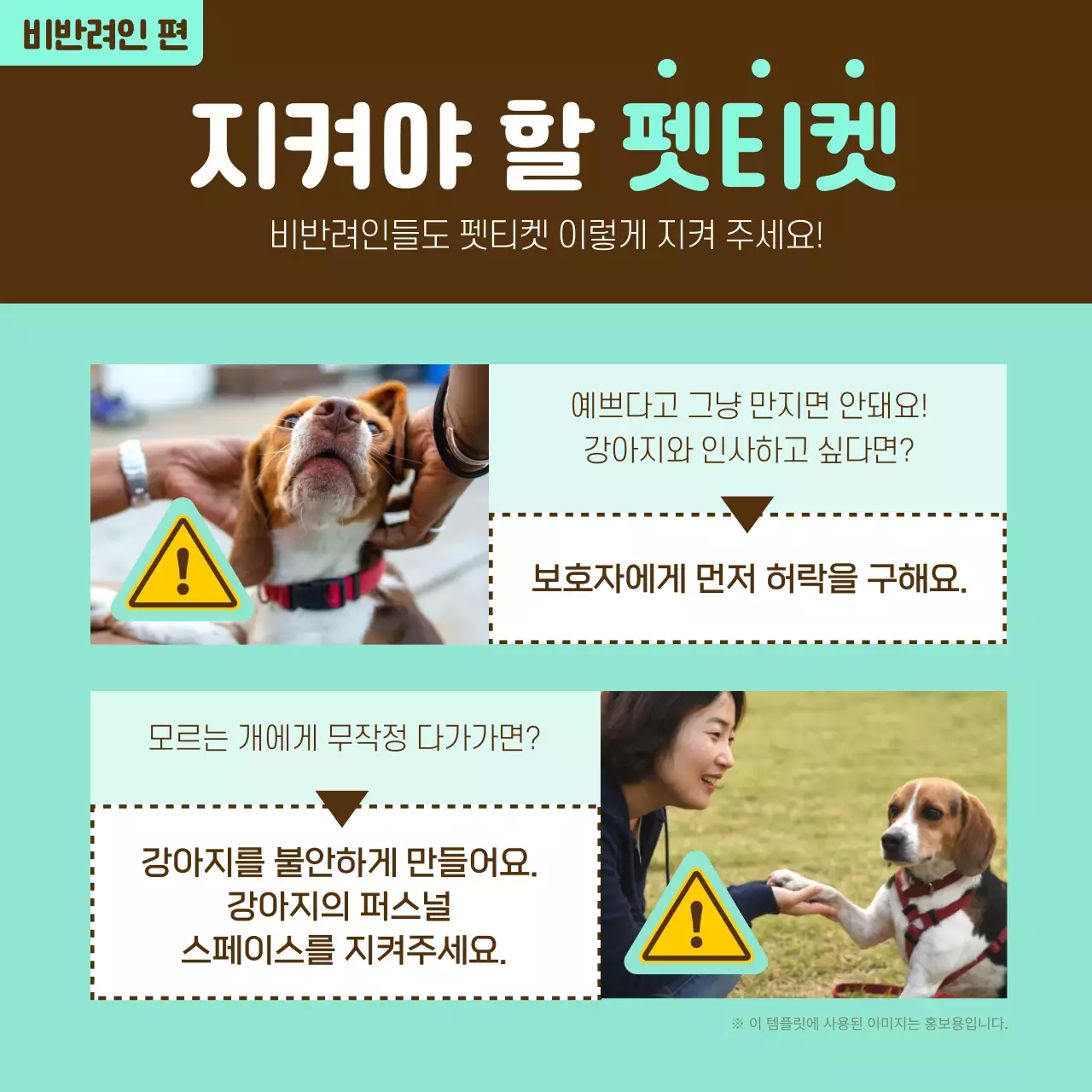 노란색과 고동색의 정보형 펫티켓