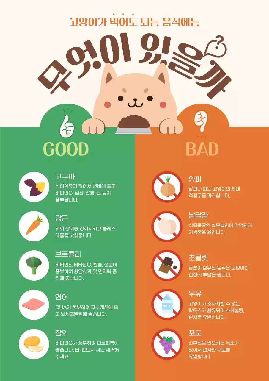 초록색과 주황색의 고양이가 먹어도 되는 음식 정보