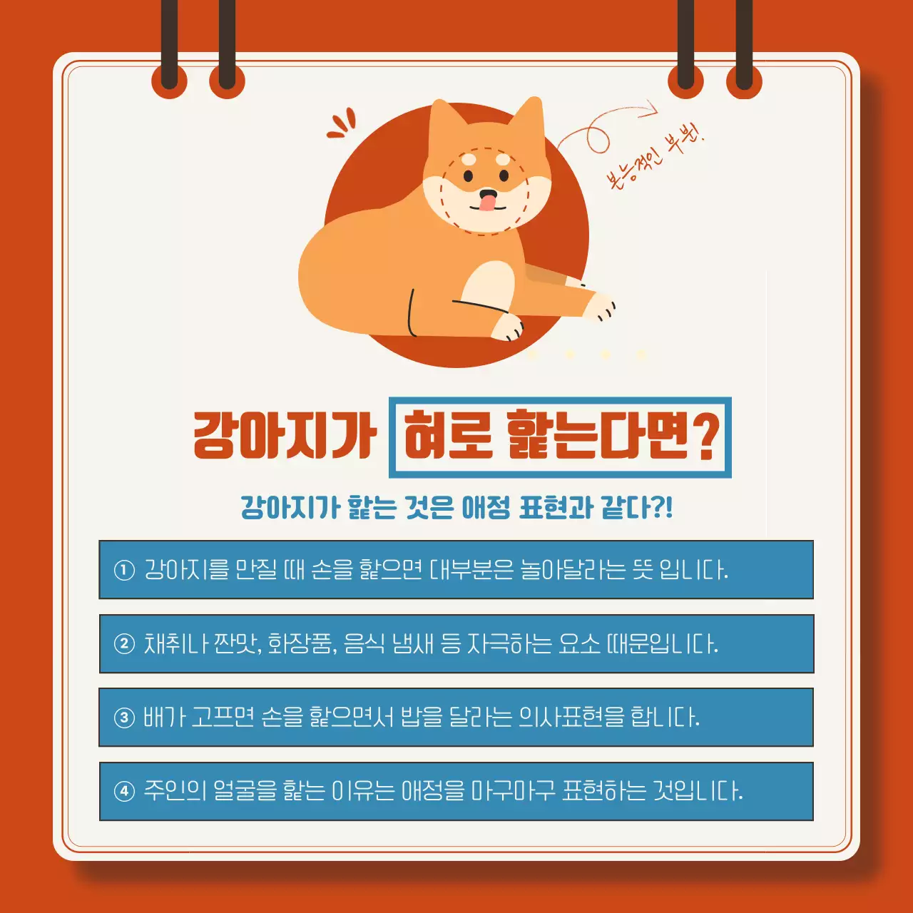 빨강과 파랑의 아기자기한 강아지 상식 설명