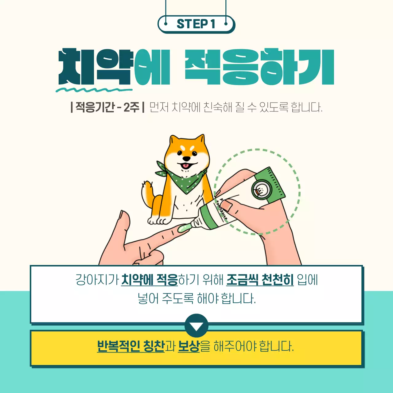민트색과 노란색의 일러스트 강아지 양치법