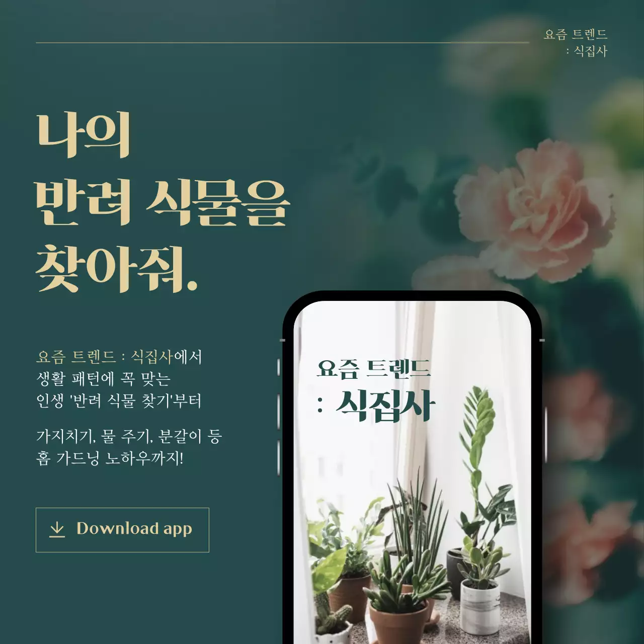 초록색과 골드의 트렌드 반려식물 추천 설명