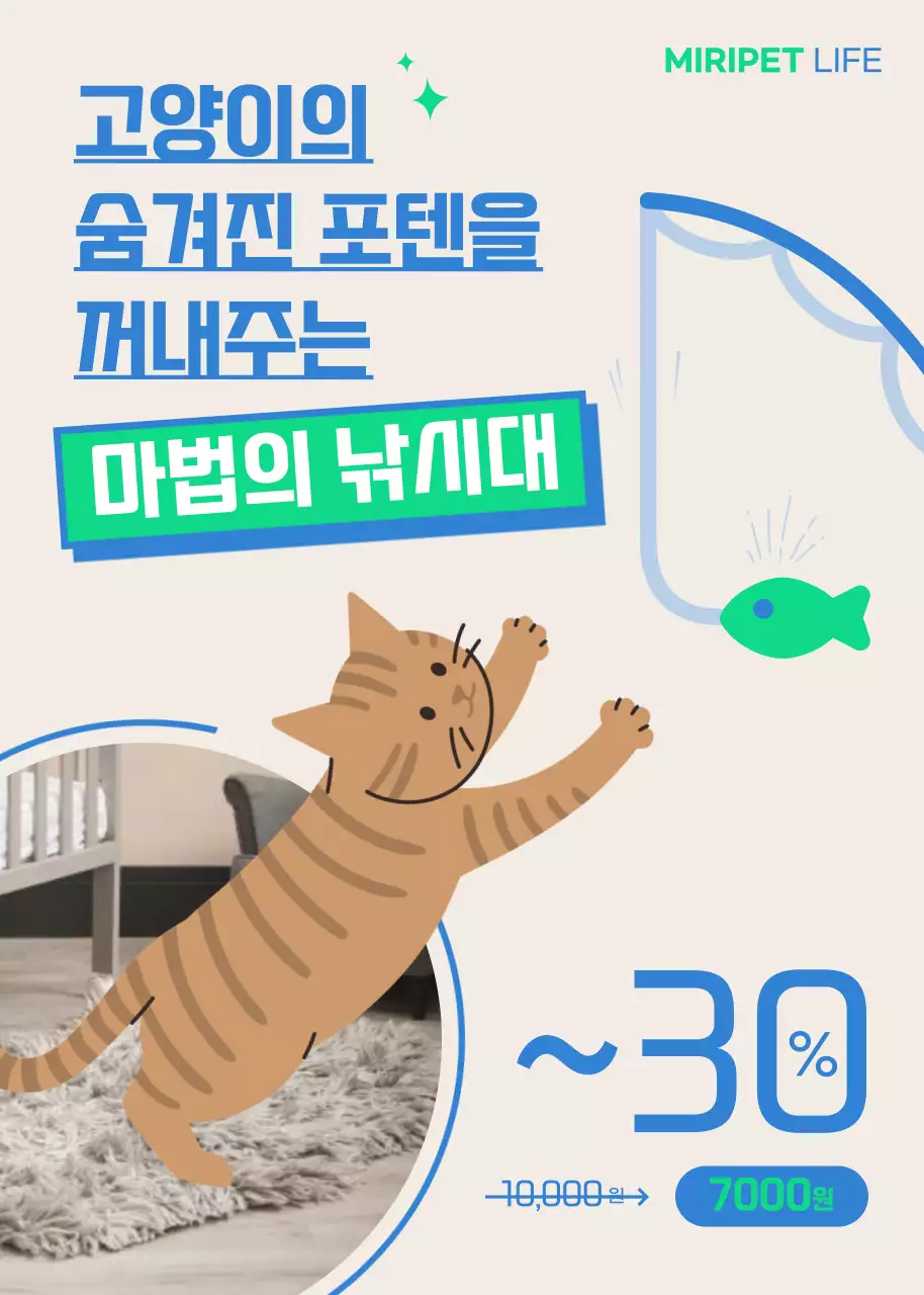 베이지 바탕의 블루 포인트 고양이 낚시대 할인