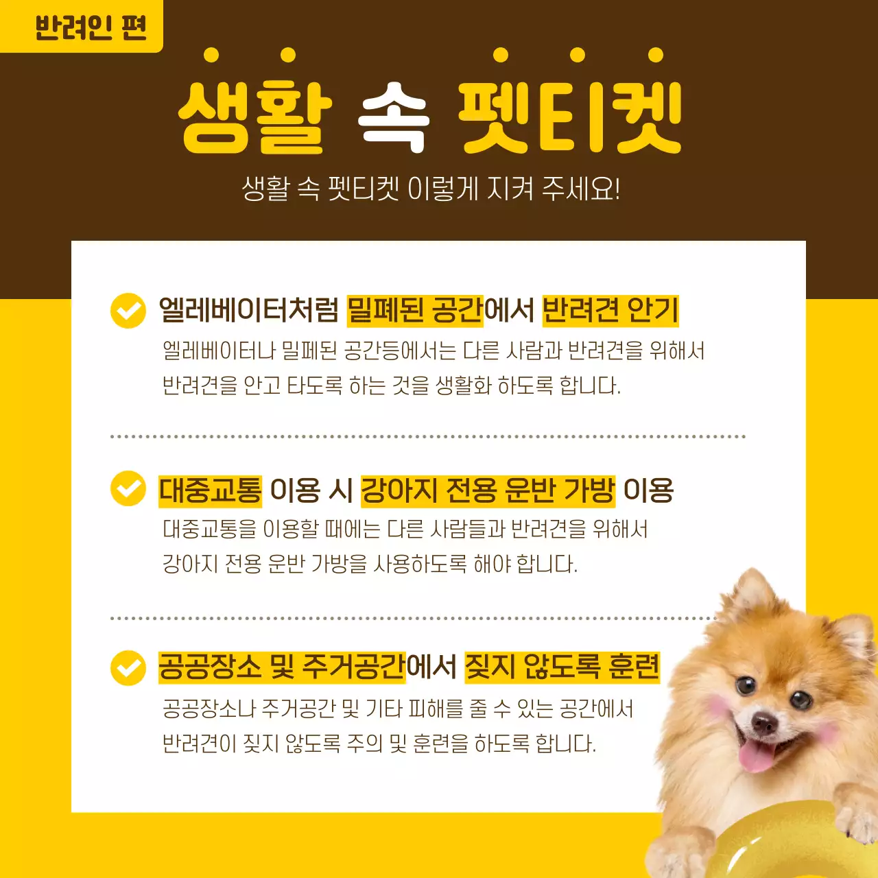 노란색과 고동색의 정보형 펫티켓