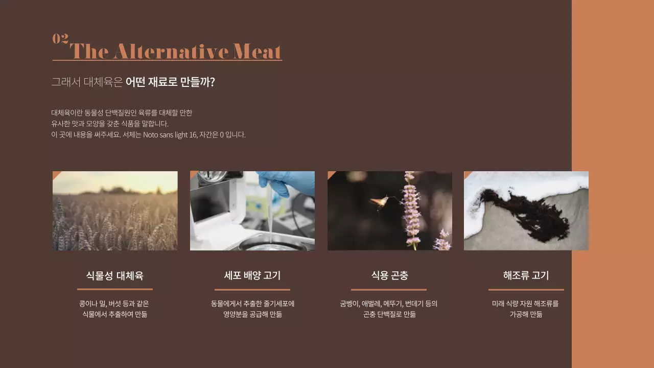 갈색의 대체육 푸드테크 관련 프레젠테이션