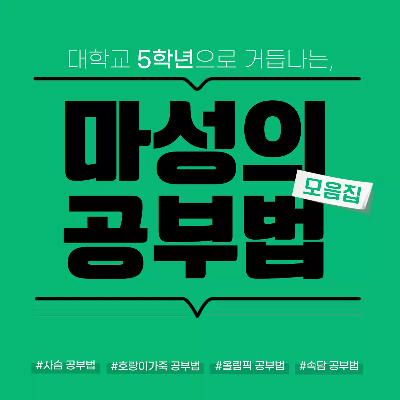 초록색의 대학생 학습 마성의 공부법 모음