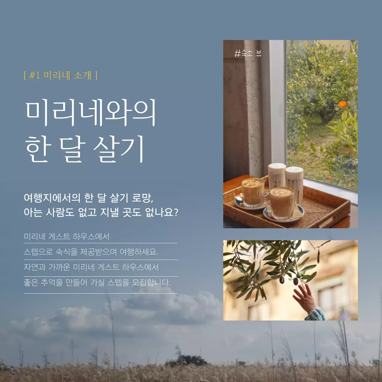 파란색과 노란색의 감성적이고 차분한 풍경사진 배경의 제주도 여행지 게스트 하우스