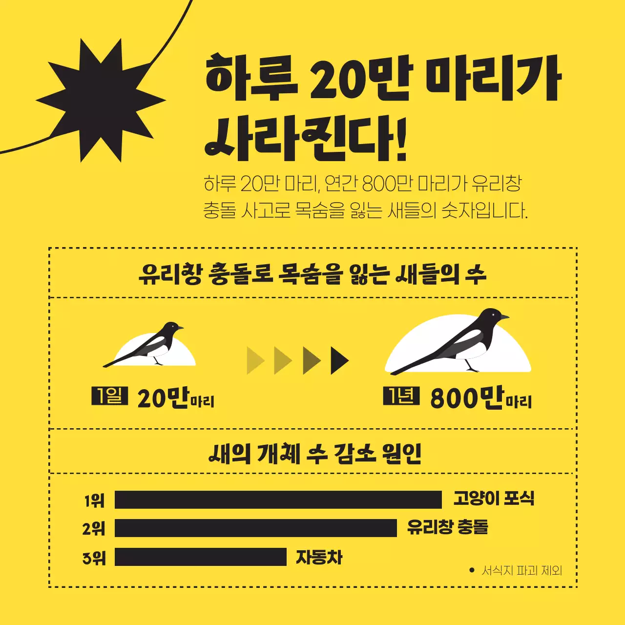 검정색과 노란색의 심플한 야생 조류 구하기