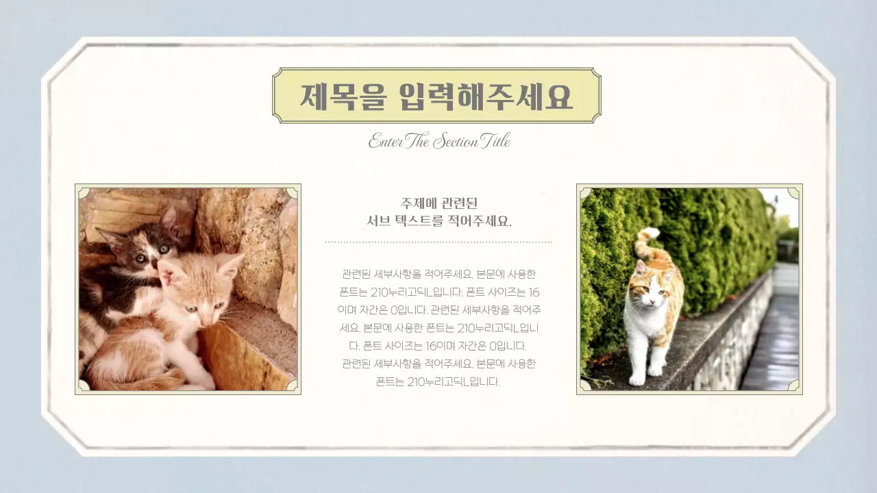 베이지와 하늘색의 빈티지 벽지 패턴의 감성적인 컨셉의 기본 레이아웃