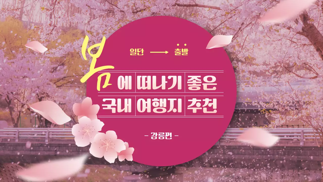 핑크색 꽃과 봄 느낌 국내 여행지 추천