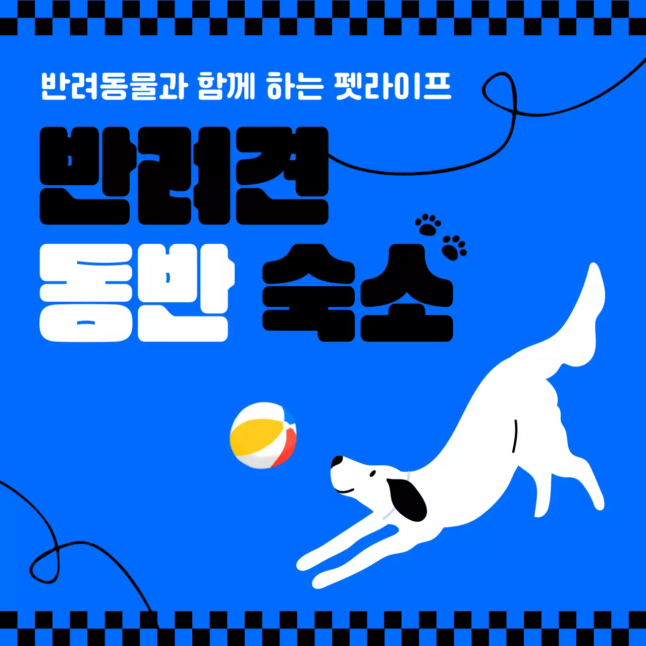 파란색 테마의 반려동물 동반 숙소 정보제공