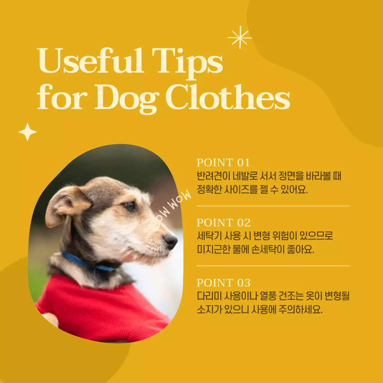 보라색과 핑크색의 키치한 애견 의류 홍보a