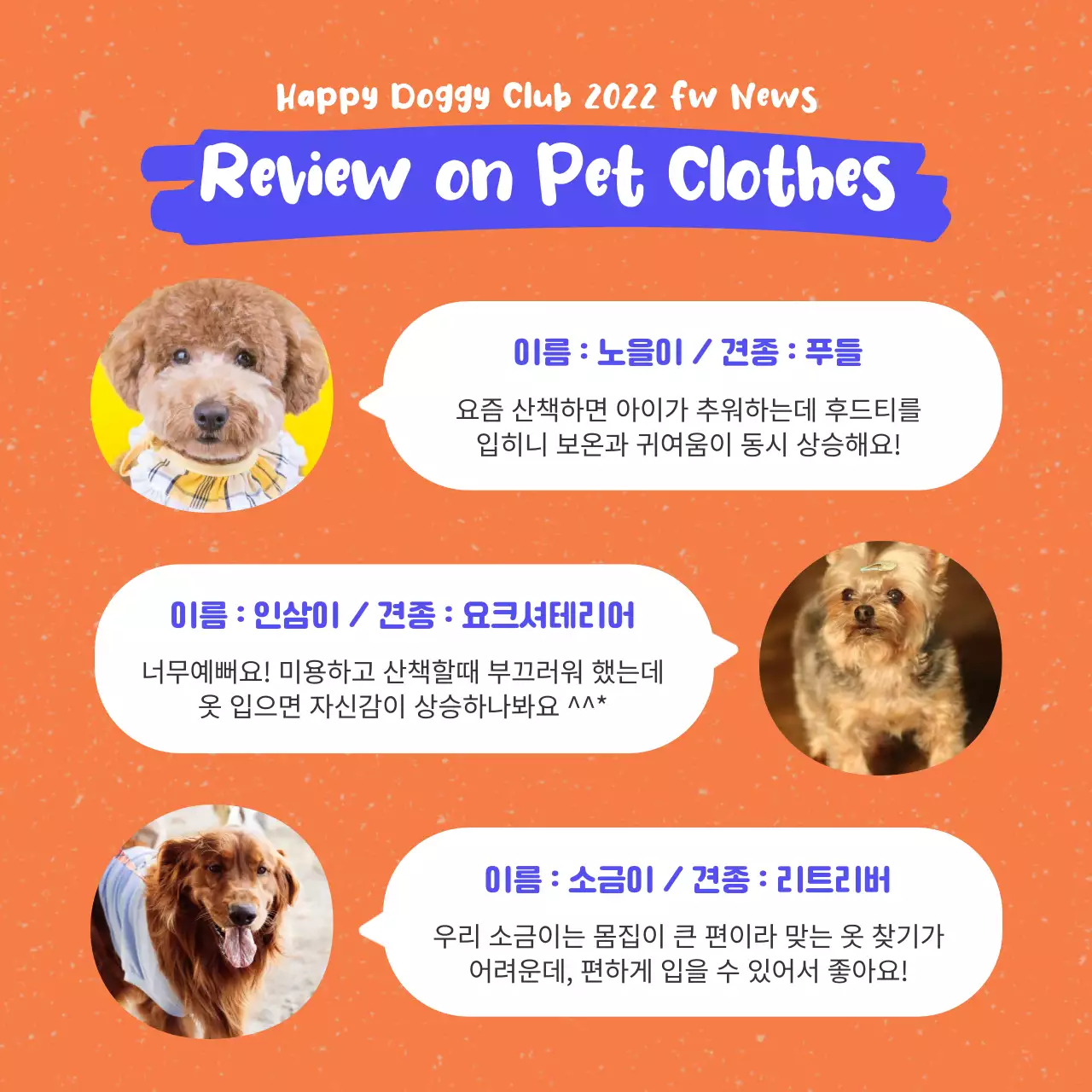 주황색과 파랑의 팝한 애견 의류 홍보