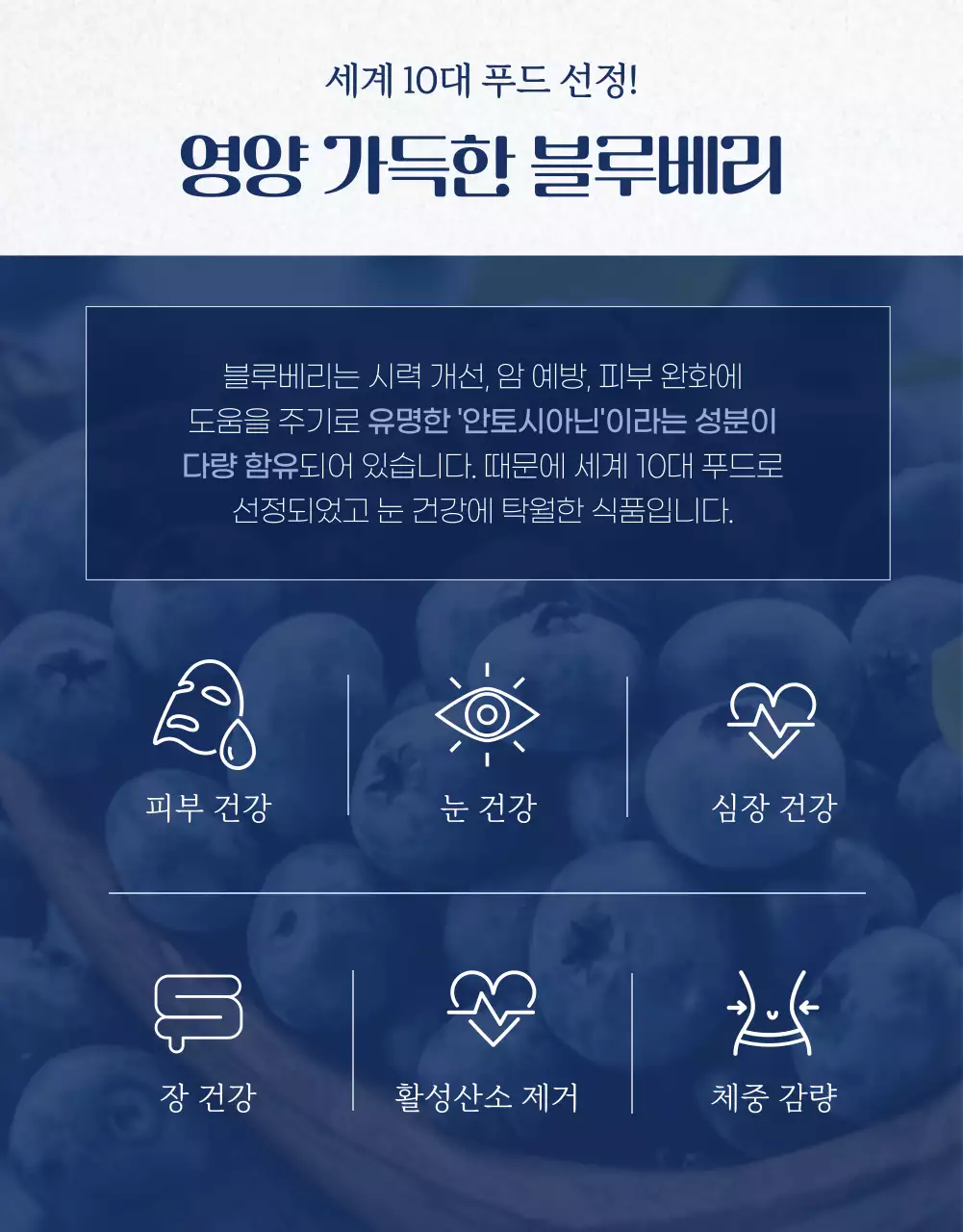네이비 컬러의 블루베리 홍보페이지