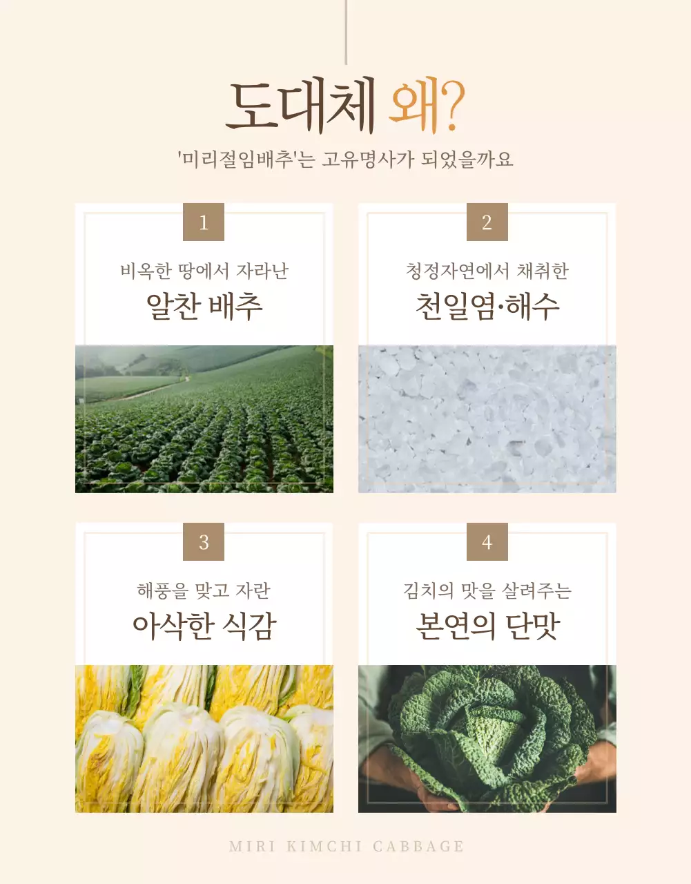 갈색톤의 심플한 절임배추 판매 안내