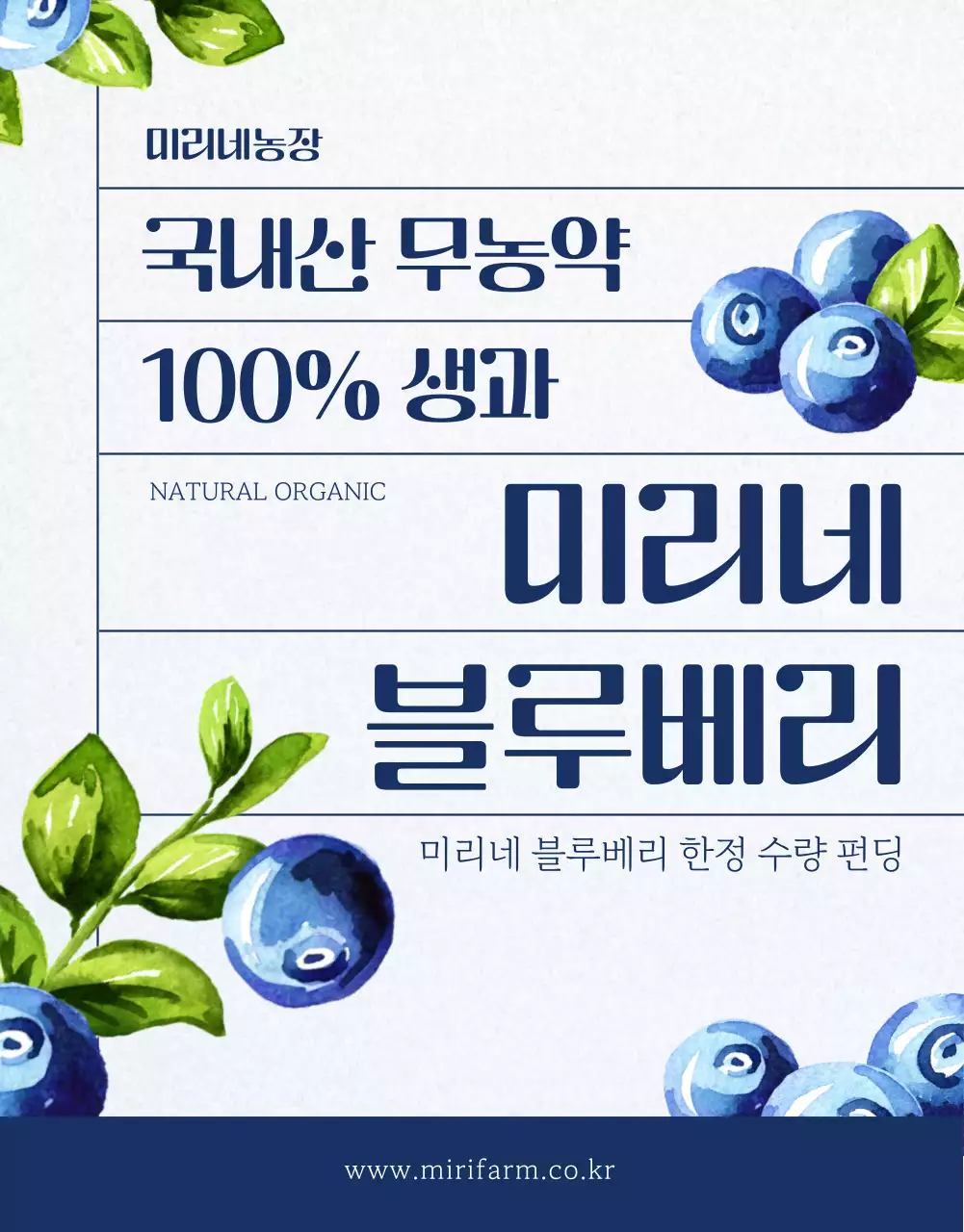 네이비 컬러의 블루베리 홍보페이지