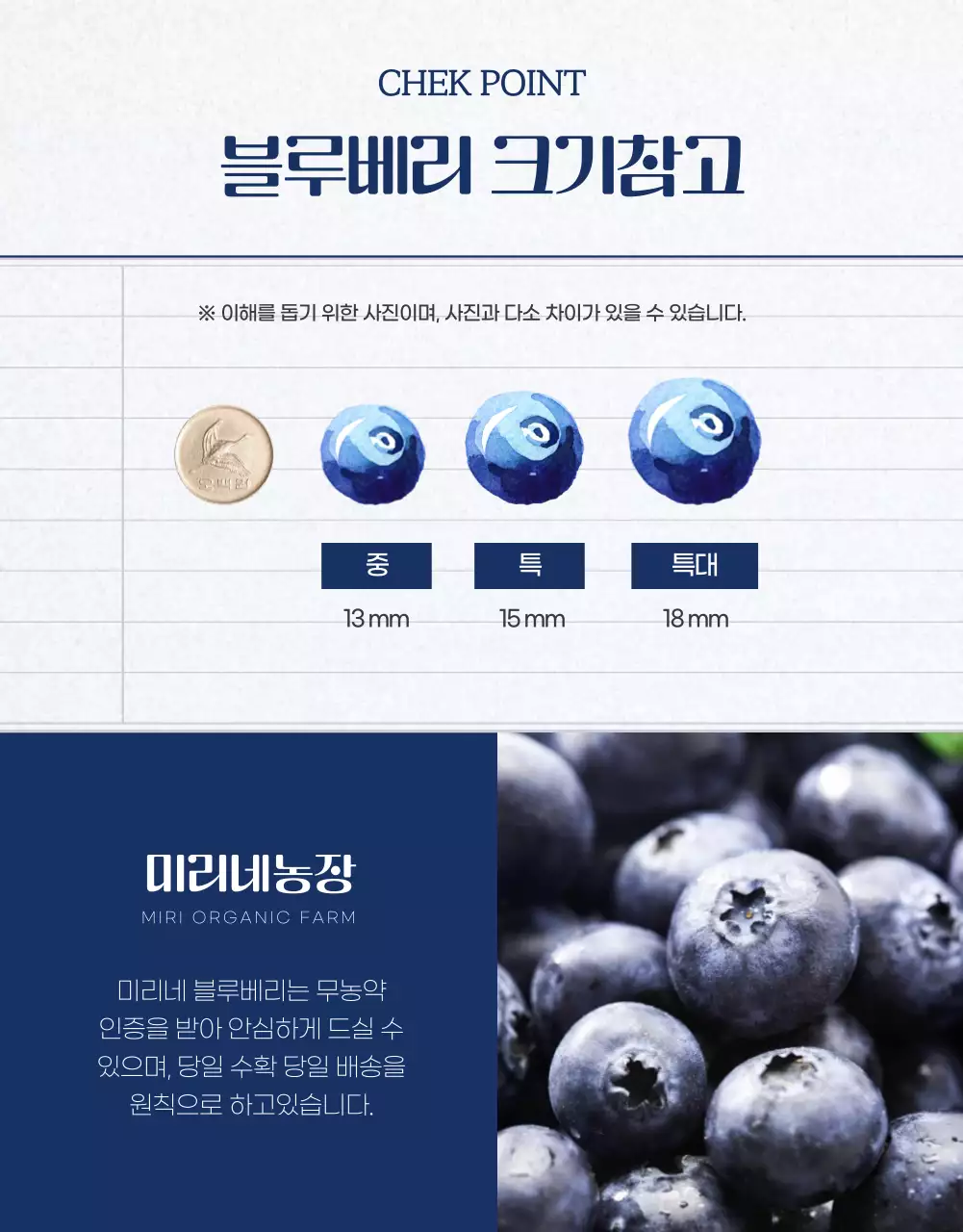 네이비 컬러의 블루베리 홍보페이지