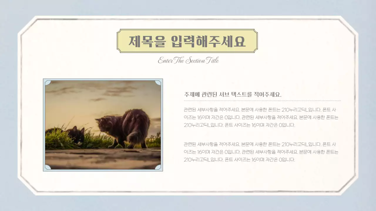 베이지와 하늘색의 빈티지 벽지 패턴의 감성적인 컨셉의 기본 레이아웃