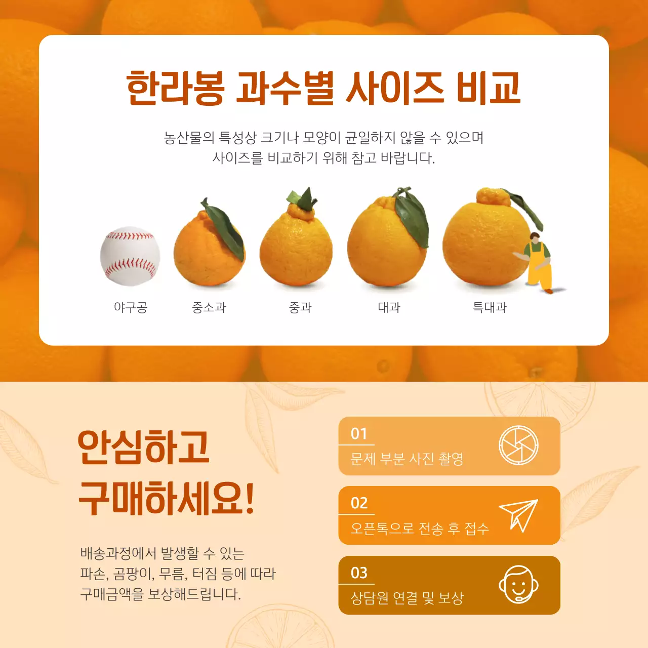 오렌지색 전통 느낌의 컨셉 명절 한라봉 선물세트 테마 