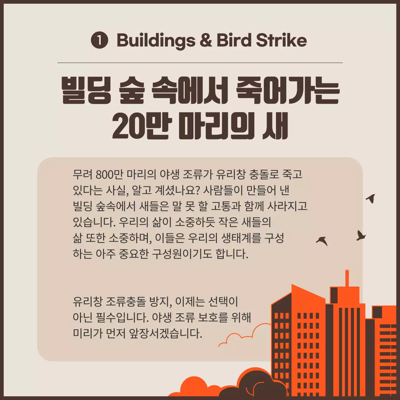 오렌지 컬러 포인트의 깔끔한 조류 충돌 방지 캠페인