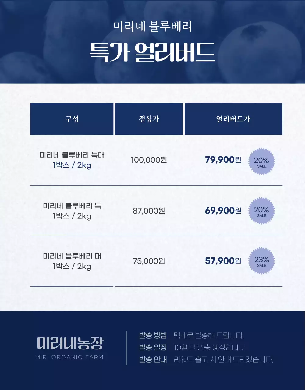 네이비 컬러의 블루베리 홍보페이지