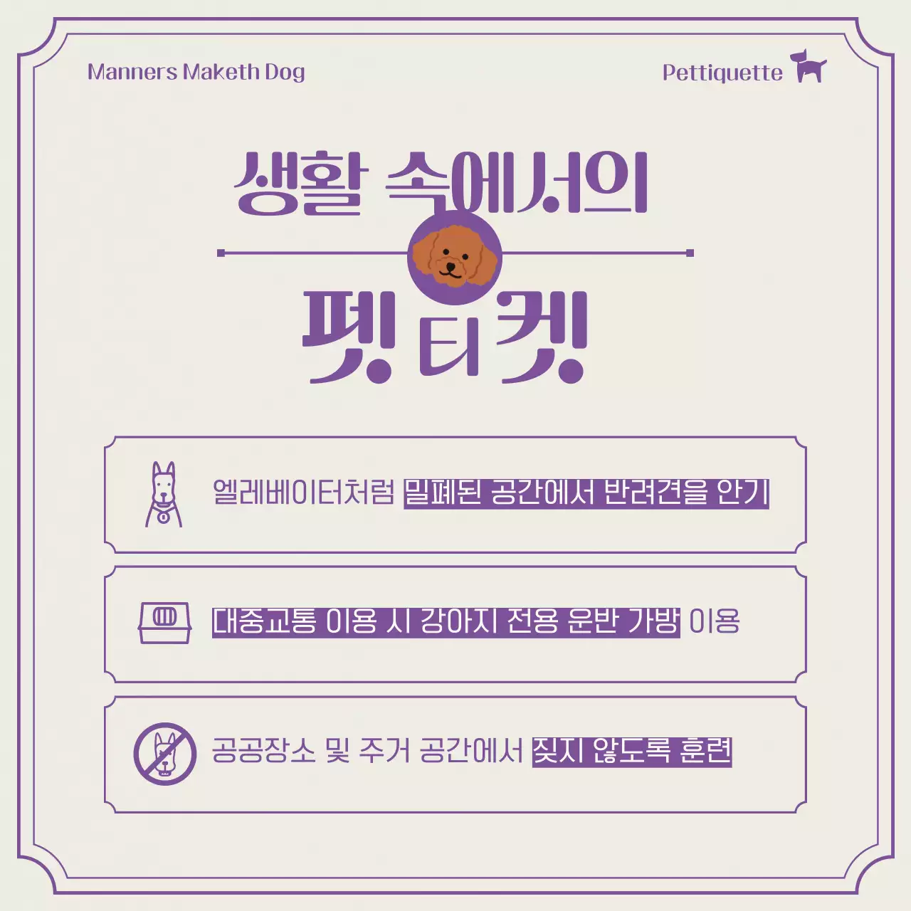 보라색의 심플한 애견 펫티켓 정보 안내서