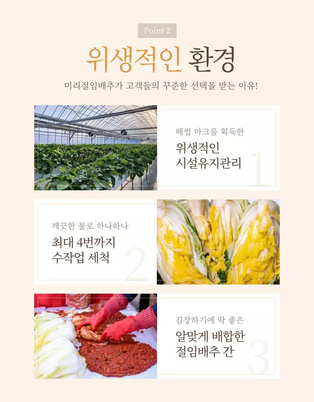 갈색톤의 심플한 절임배추 판매 안내