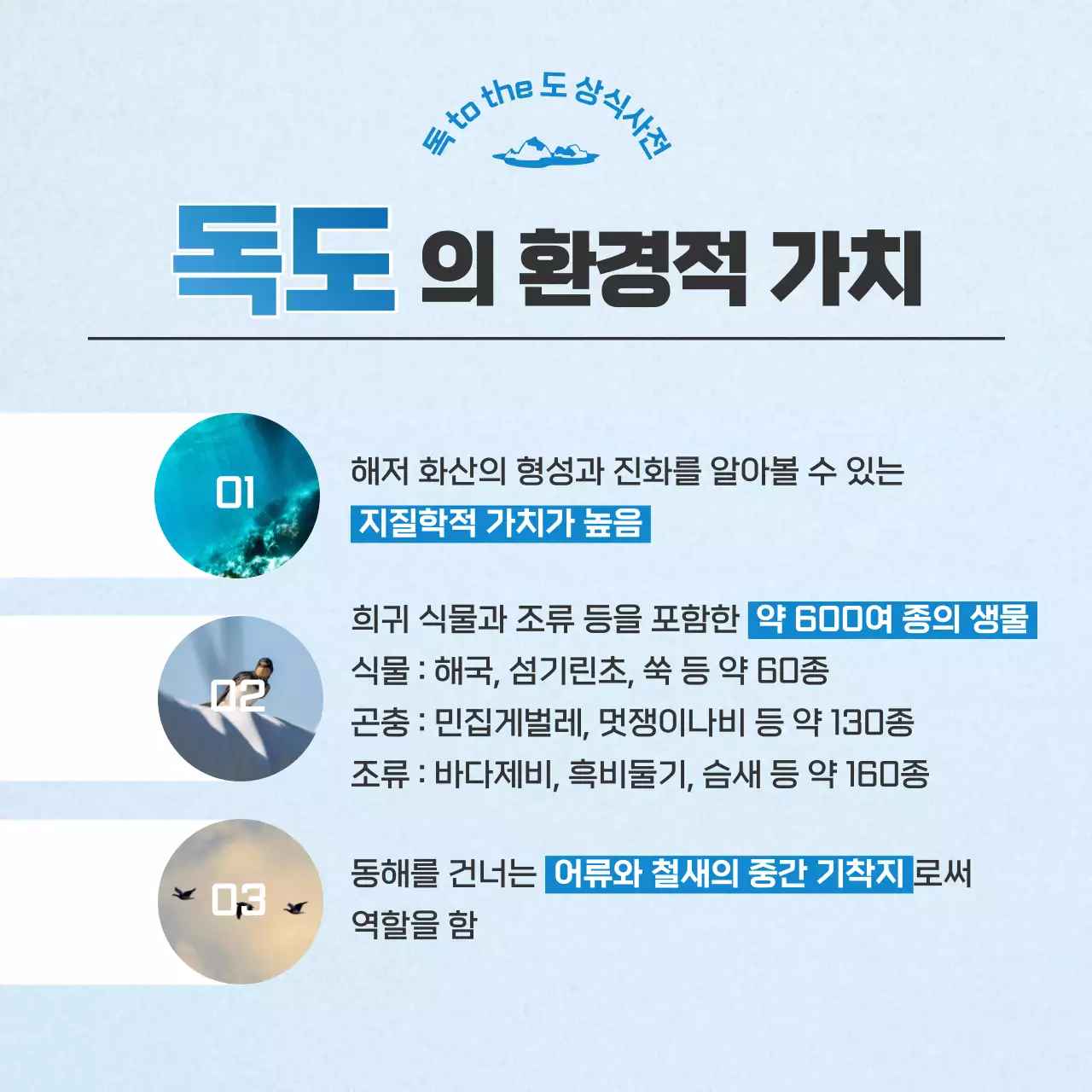 하늘색과 파랑의 심플한 독도의날 정보 게시글