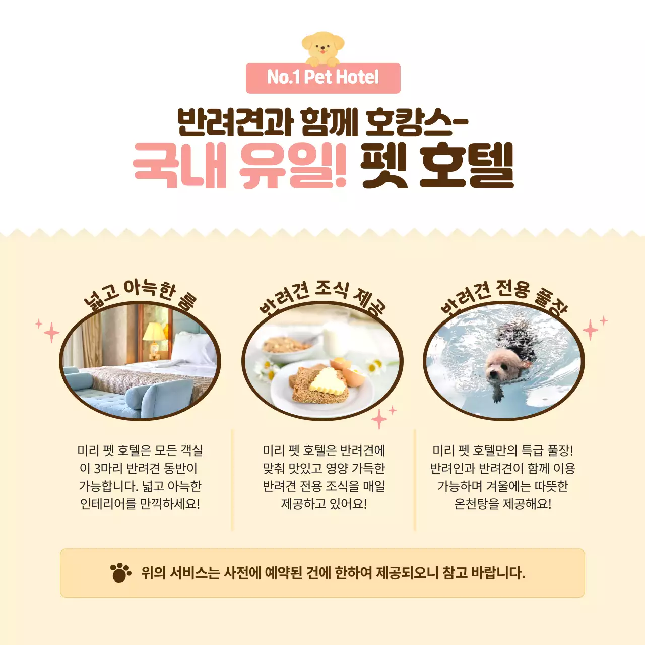 핑크색의 따뜻하고 포근한 애견 호텔 홍보(카드뉴스)