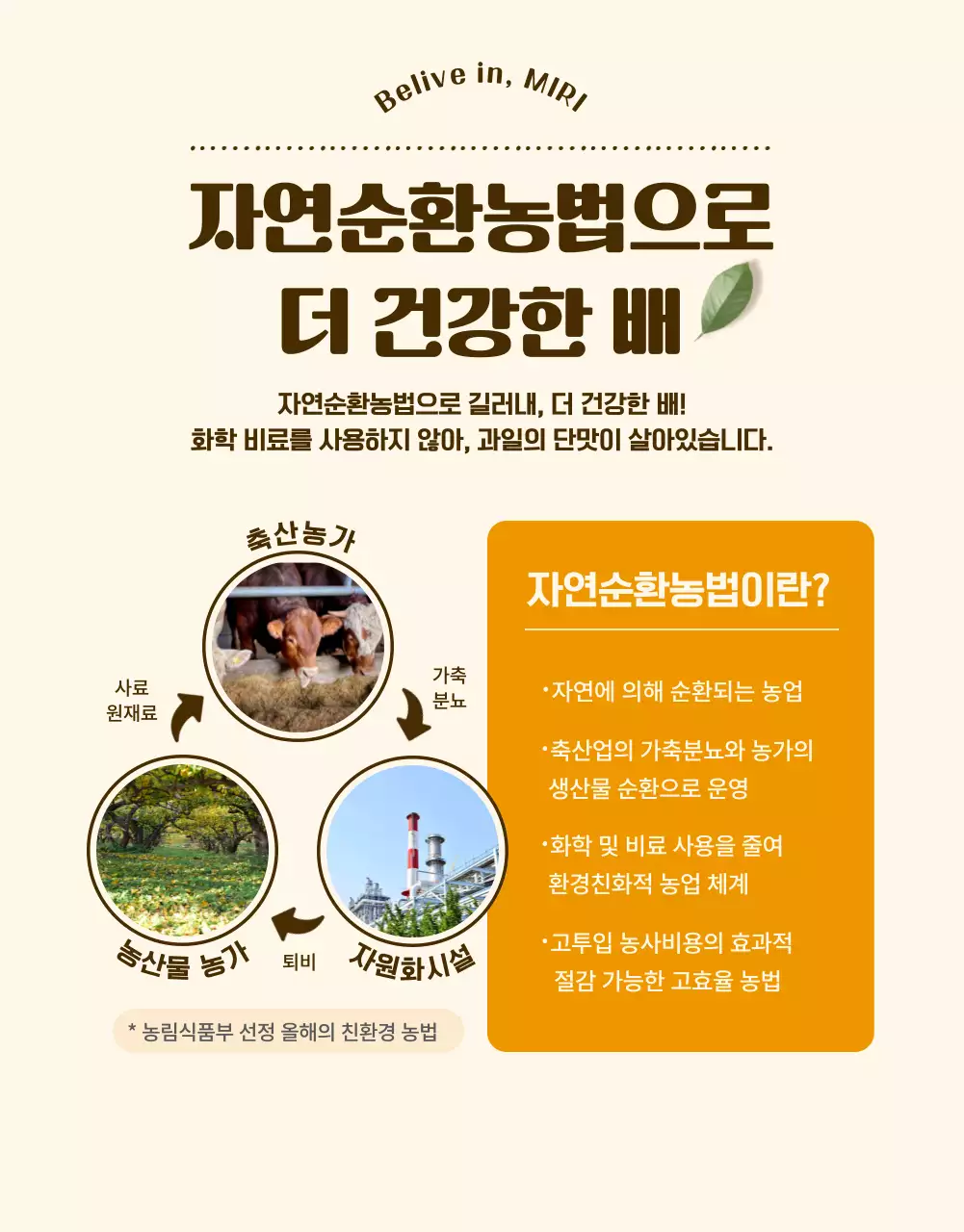 갈색과 주황색의 트렌드한 건강식품 소개서
