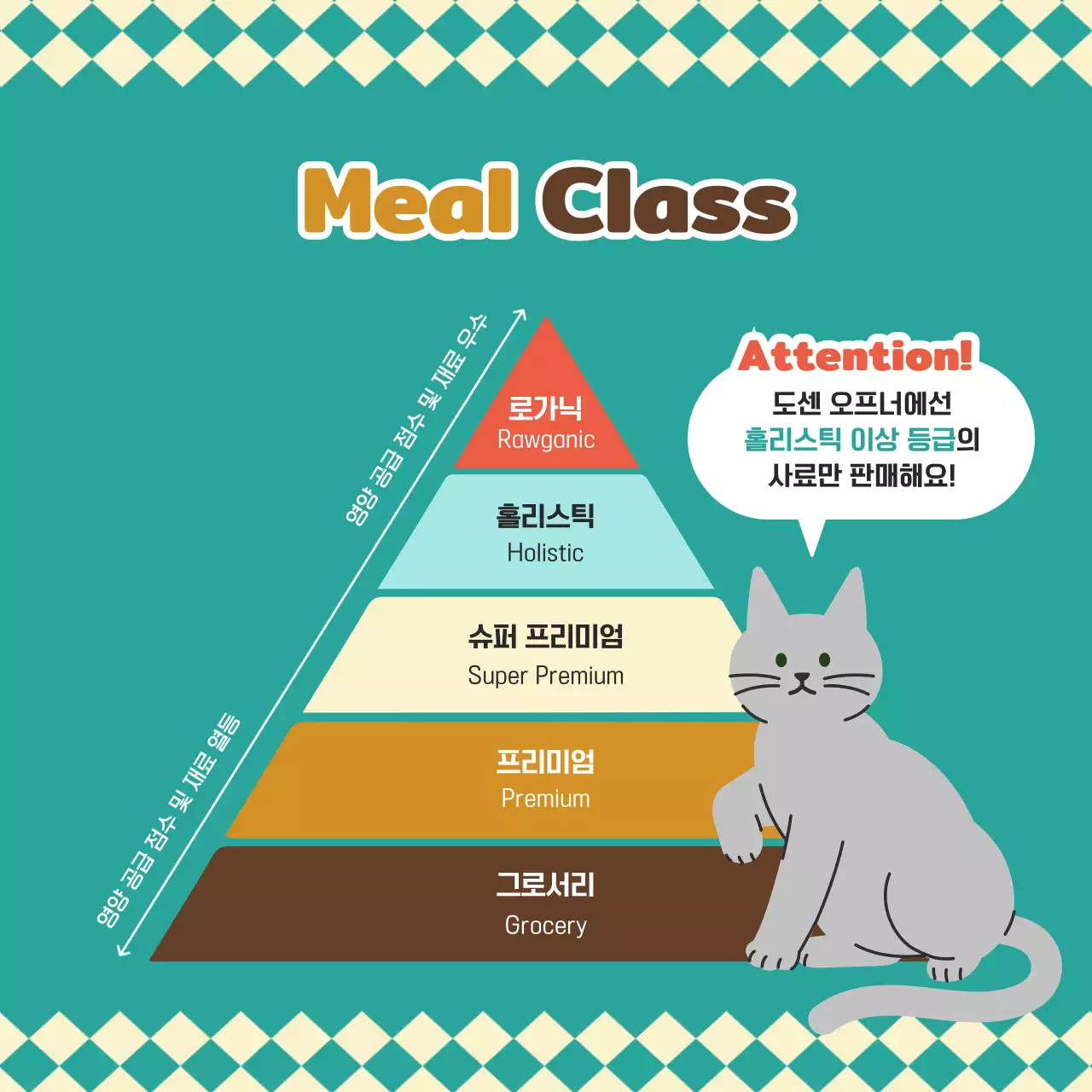 초록색의 키치한 반려동물 사료 홍보