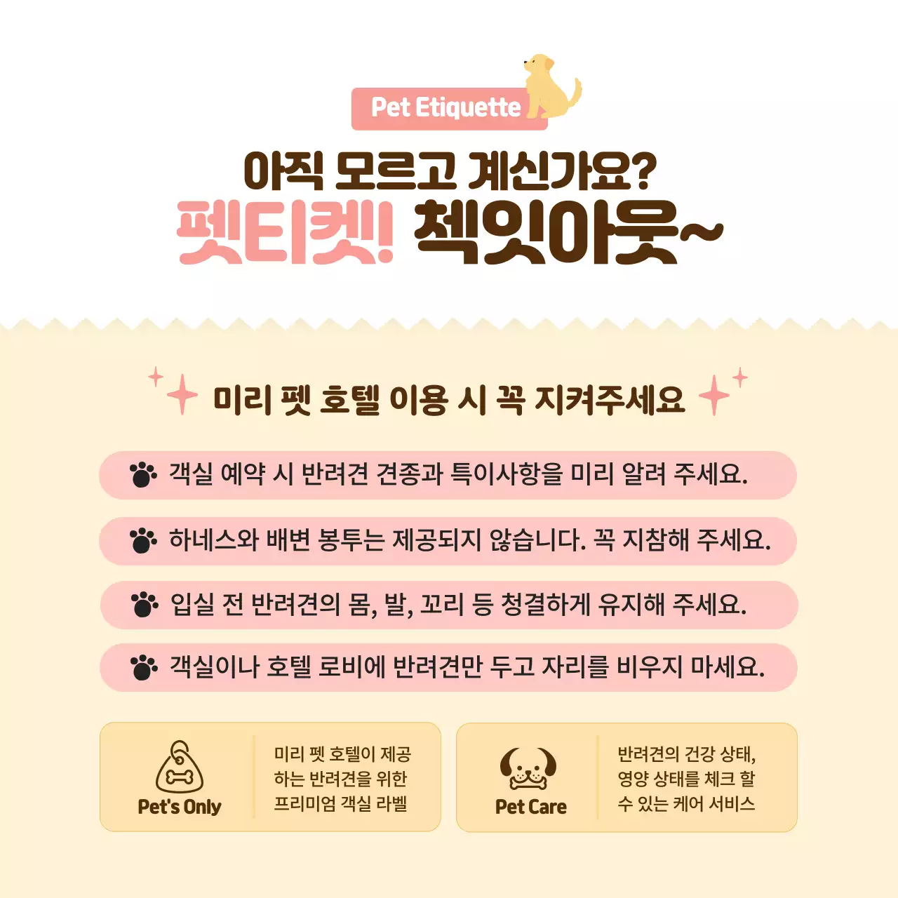 핑크색의 따뜻하고 포근한 애견 호텔 홍보(카드뉴스)