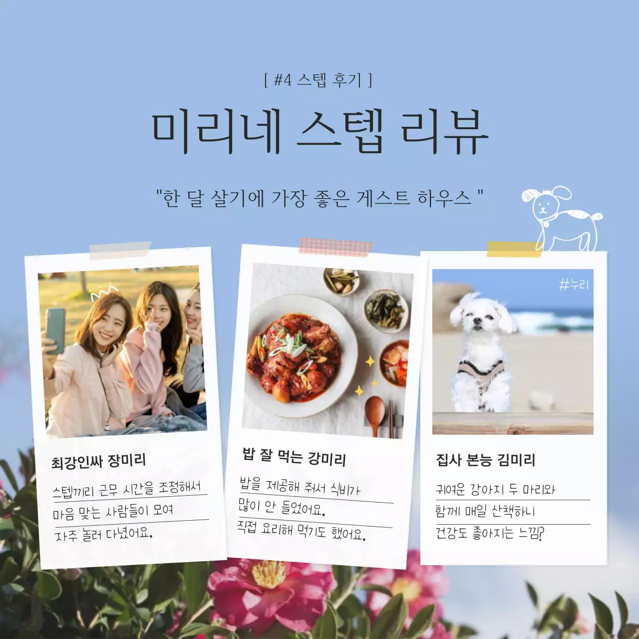 파란색과 노란색의 감성적이고 차분한 풍경사진 배경의 제주도 여행지 게스트 하우스