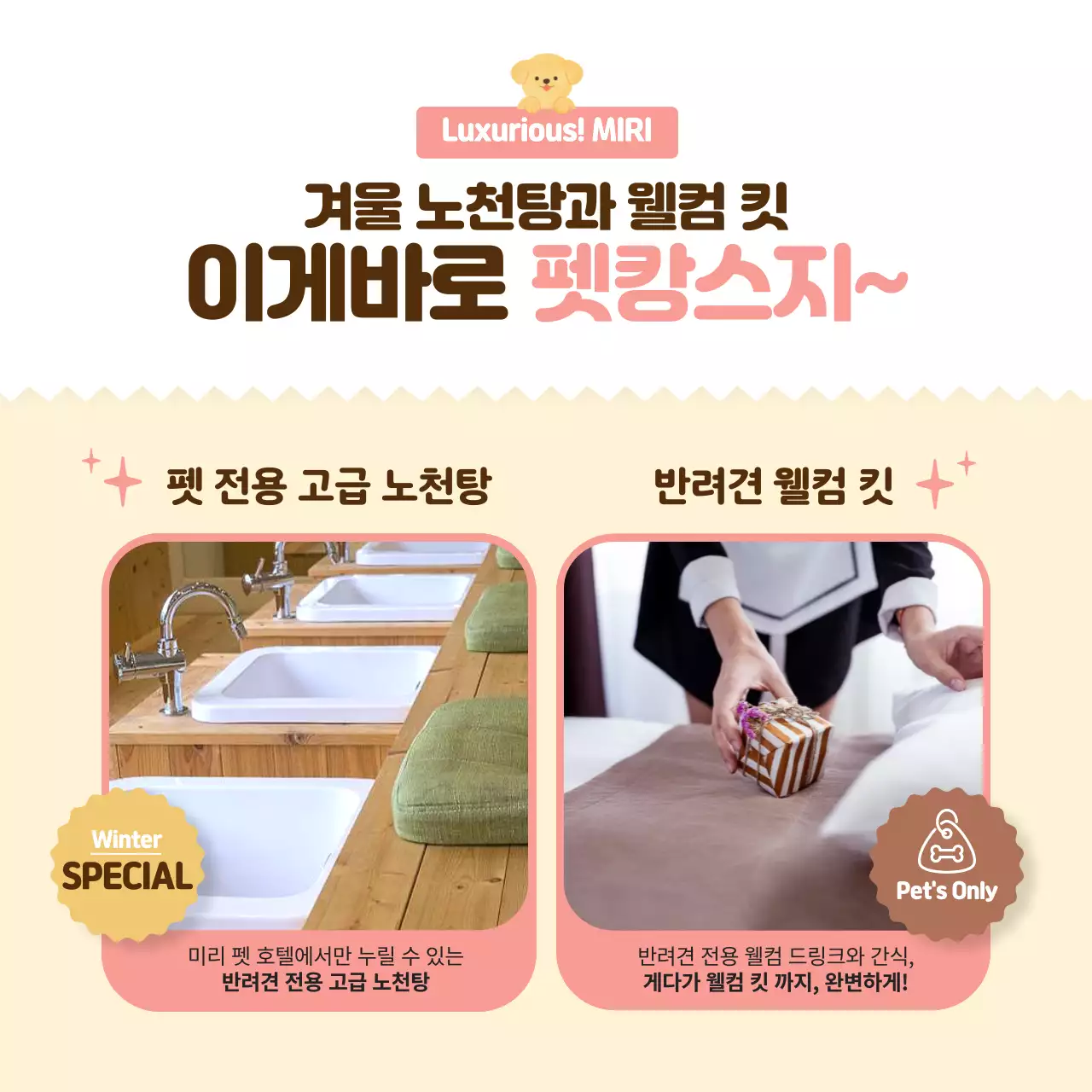 핑크색의 따뜻하고 포근한 애견 호텔 홍보(카드뉴스)