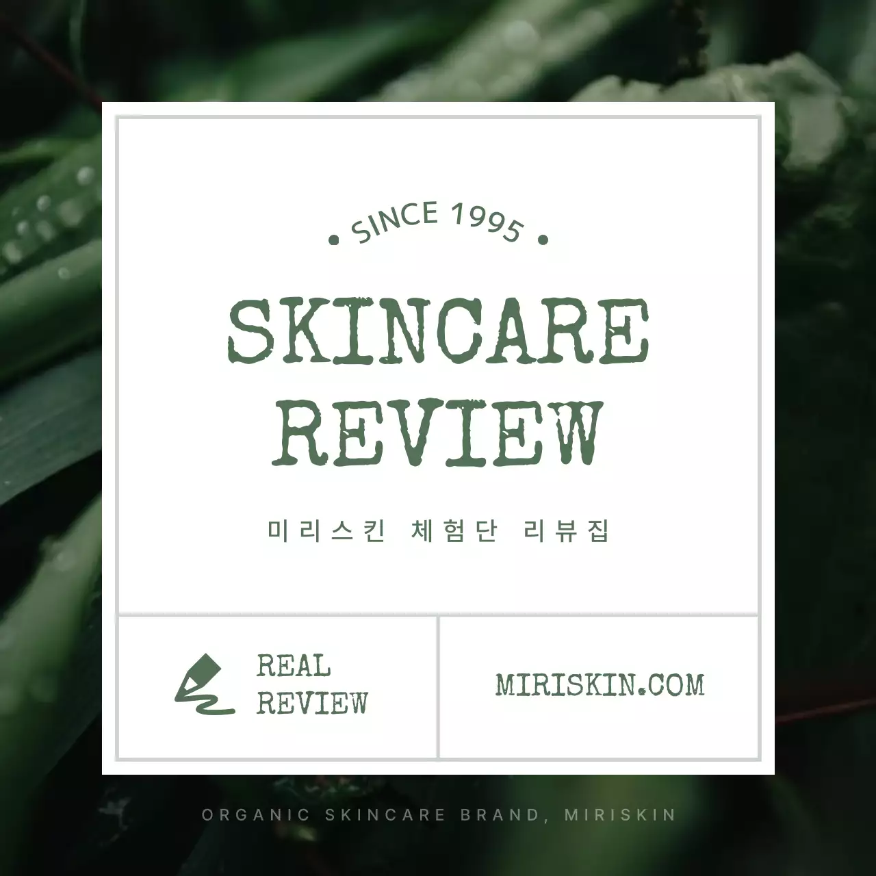 초록색의 자연적인 유기농 화장품 체험단 리뷰 홍보