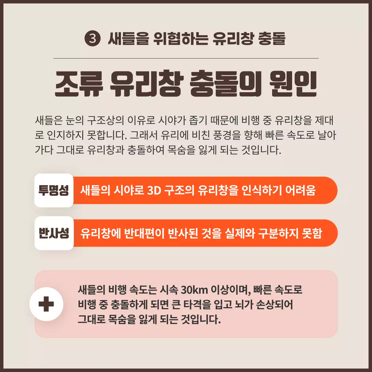 오렌지 컬러 포인트의 깔끔한 조류 충돌 방지 캠페인