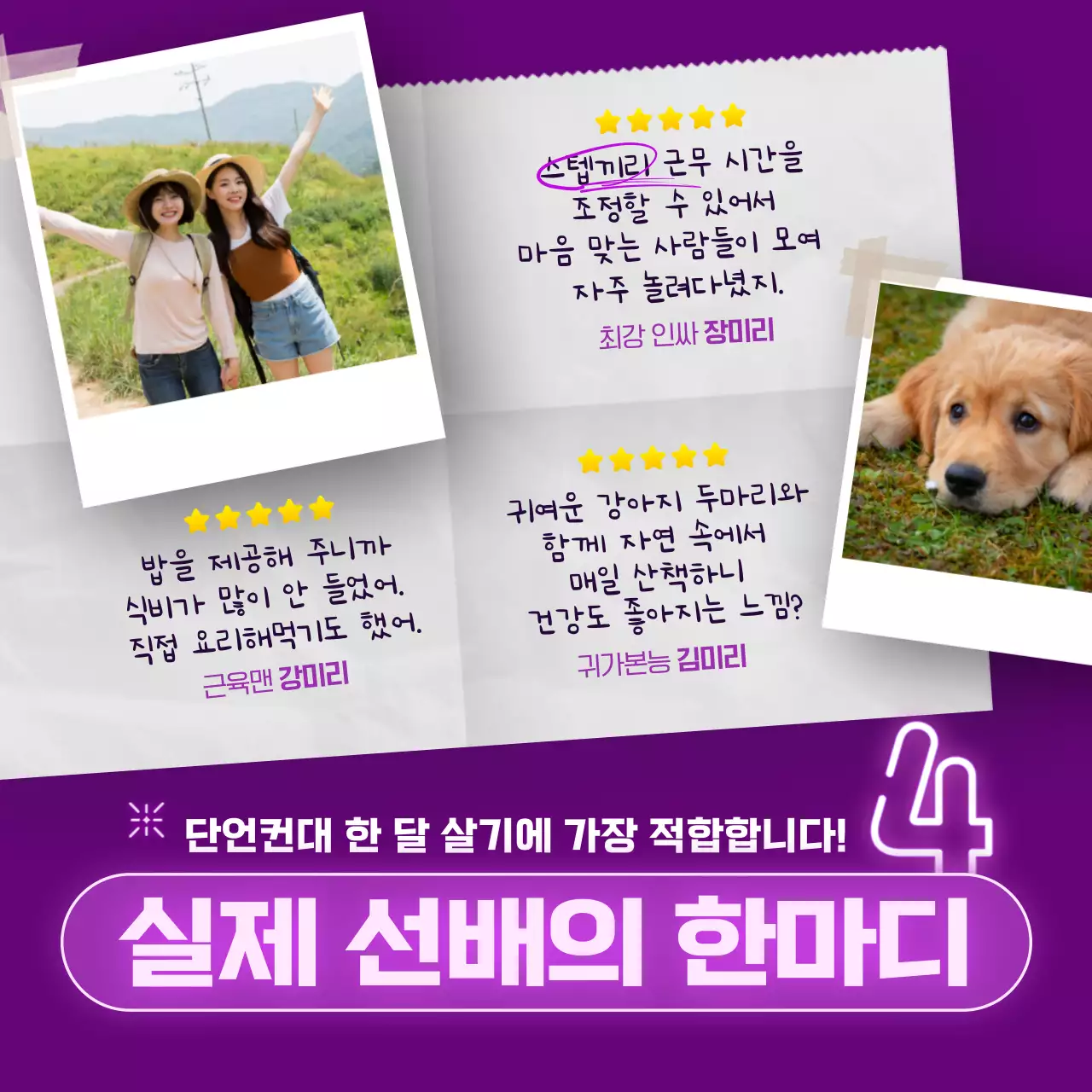 보라색 네온사인 컨셉의 게스트하우스 스텝 모집