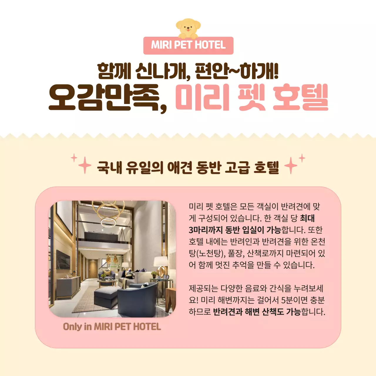 핑크색의 따뜻하고 포근한 애견 호텔 홍보(카드뉴스)