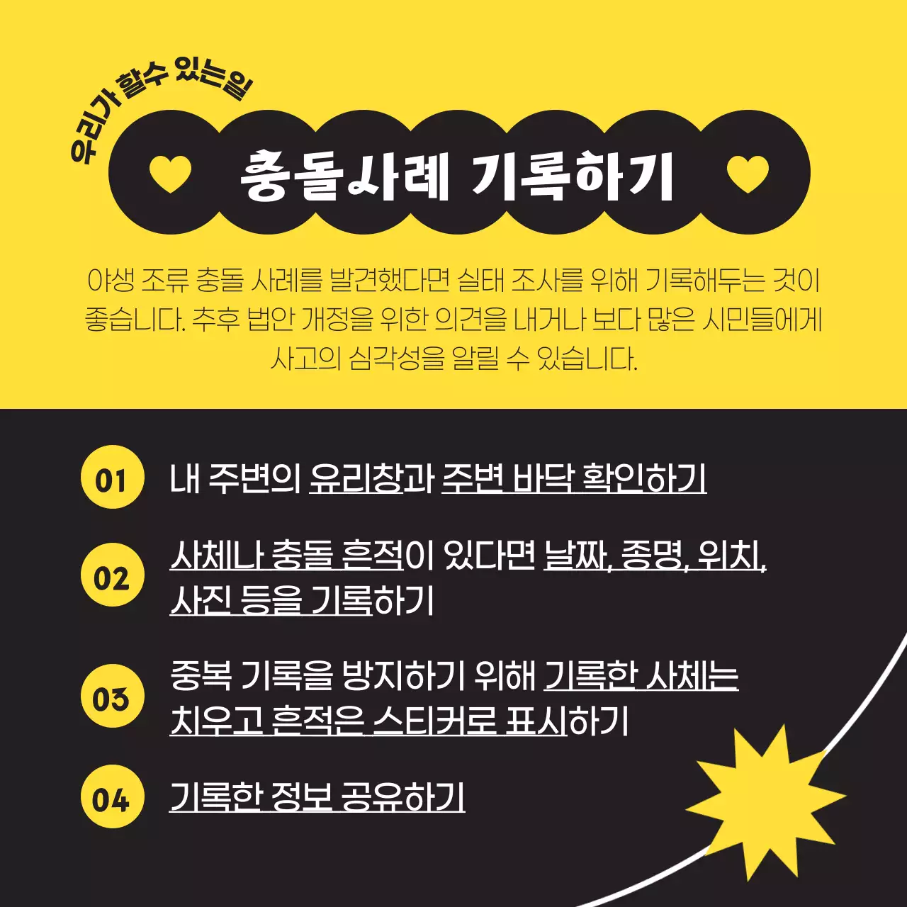 검정색과 노란색의 심플한 야생 조류 구하기