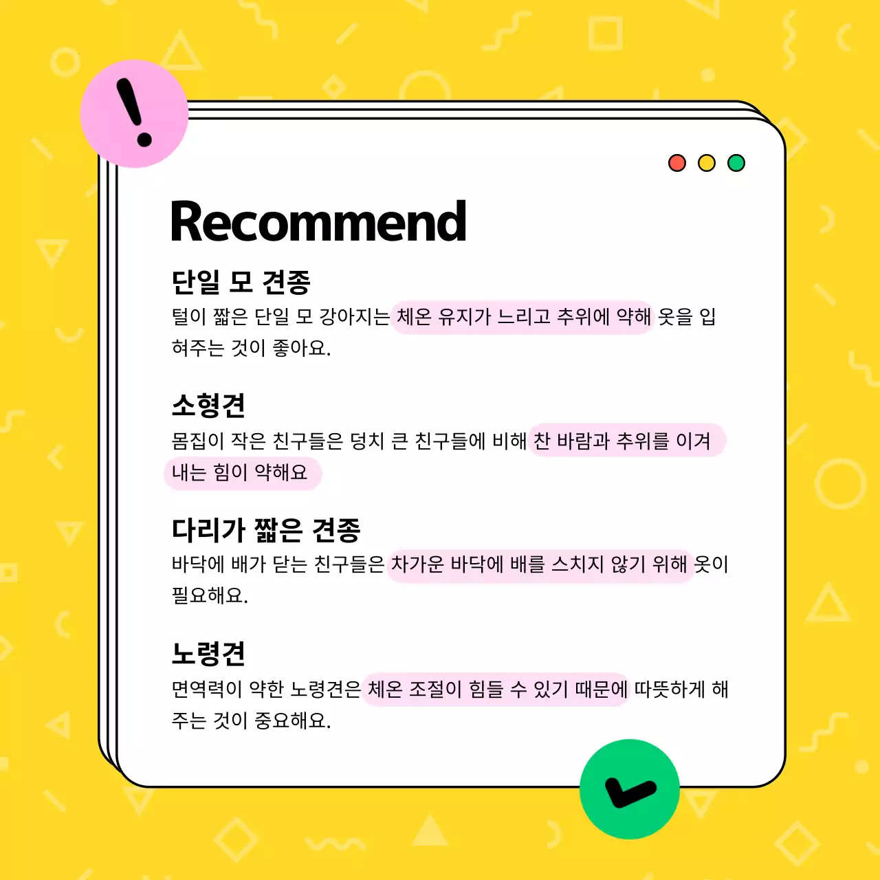 파란색과 노란색 분홍색 강아지 의류 소셜미디어 템플릿