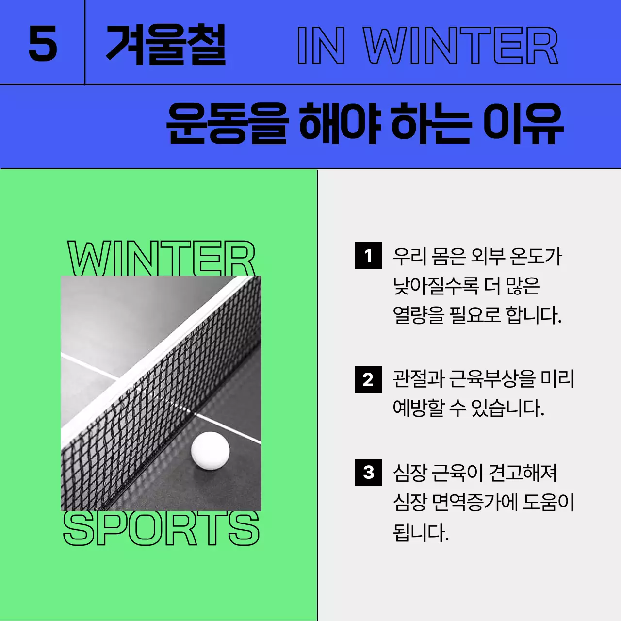 푸른색과 연두색의 겨울철 실내스포츠 정보 제공